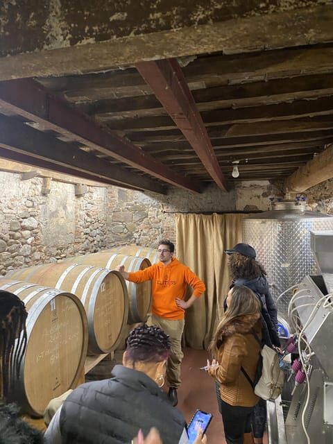 Tasting in a Tuscan Vineyard with transfer from Pisa - Practical Details & Why They Matter