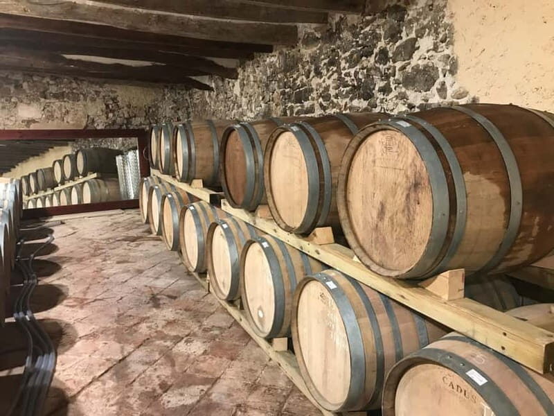 tasting wines in the vineyards with hotel pickup hotel - What’s Included and What’s Not