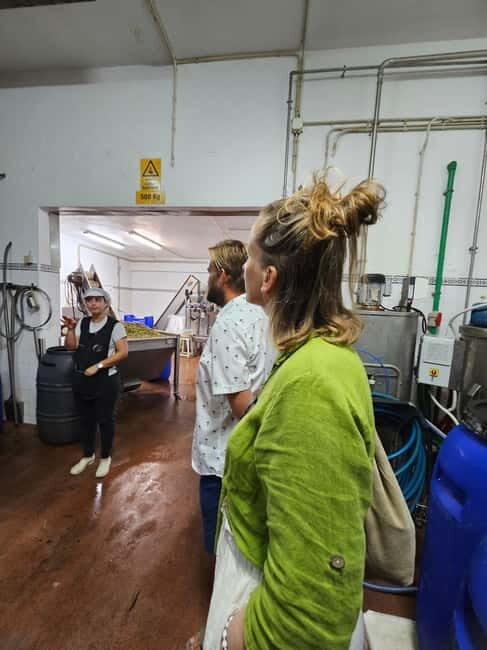 Tavira City & Olive Factory Tuktuk tour - Who Will Love This Tour?