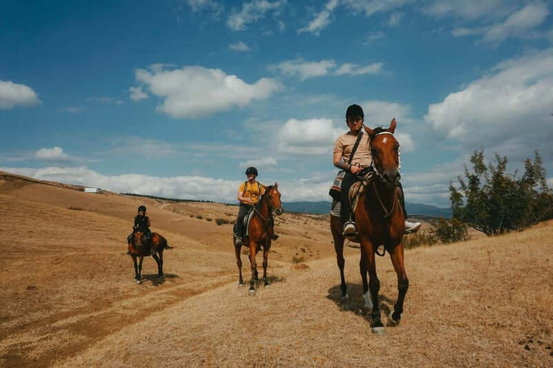 Tbilisi: Horseback Riding Experience - The Experience’s Real Value — What Travelers Say