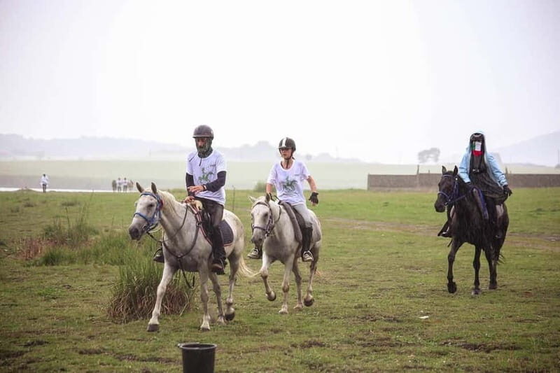 Tbilisi: Kakheti Horse Riding, Wine Tasting, and Cooking - A Complete Breakdown of the Tour