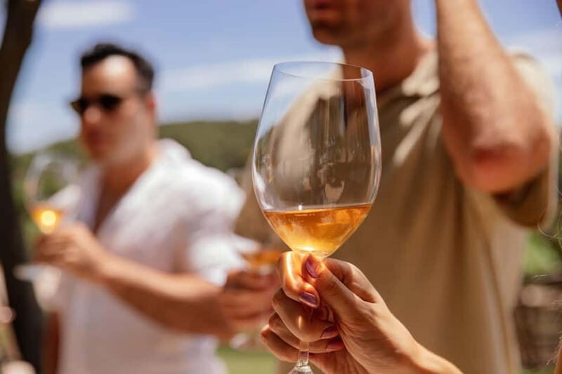 Tbilisi: Sighnaghi Tour with Wine Tasting and Cooking Class - The Magic of Khareba Winery’s Mountain Tunnel