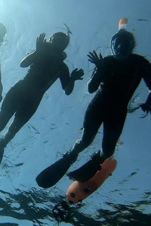 Tenerife: Alcalá Guided Snorkeling Tour - The Experience from a Travelers Perspective