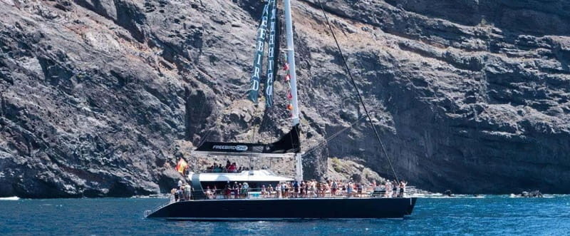 Tenerife: Catamaran Cruise with an Open Bar - What to Expect: From Scenery to Safety