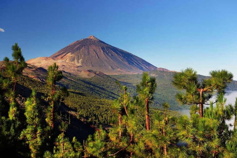 Tenerife: Combo Jet Ski & Quad Experience - The Practicalities: What You Need to Know