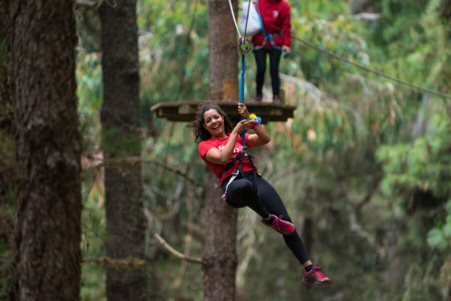 Tenerife: Forestal Park Tenerife Entry Ticket - Why Choose Forestal Park Tenerife?
