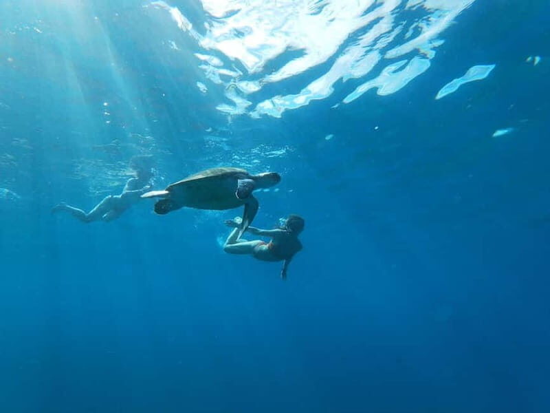 Tenerife: Kayaking and Snorkeling Tour for Groups - Detailed Breakdown of the Itinerary