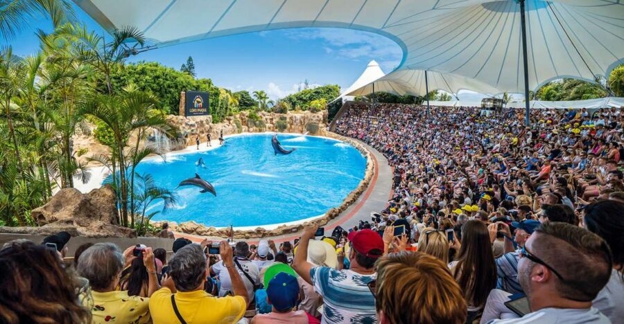 Tenerife: Loro Parque Entry Ticket - How the Day Unfolds at Loro Parque