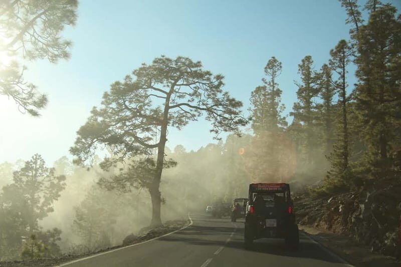 Tenerife: MORNING - Family 4seats Buggy tour of Teide - Value and Pricing: Is It Worth It?