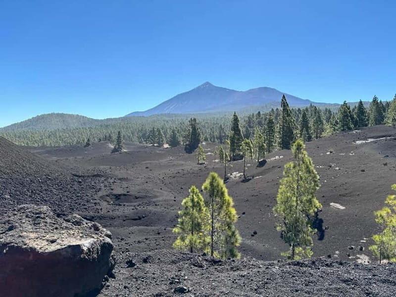 Tenerife: premium e-bike ride at Chineyro volcanic area - The Full Itinerary in Detail