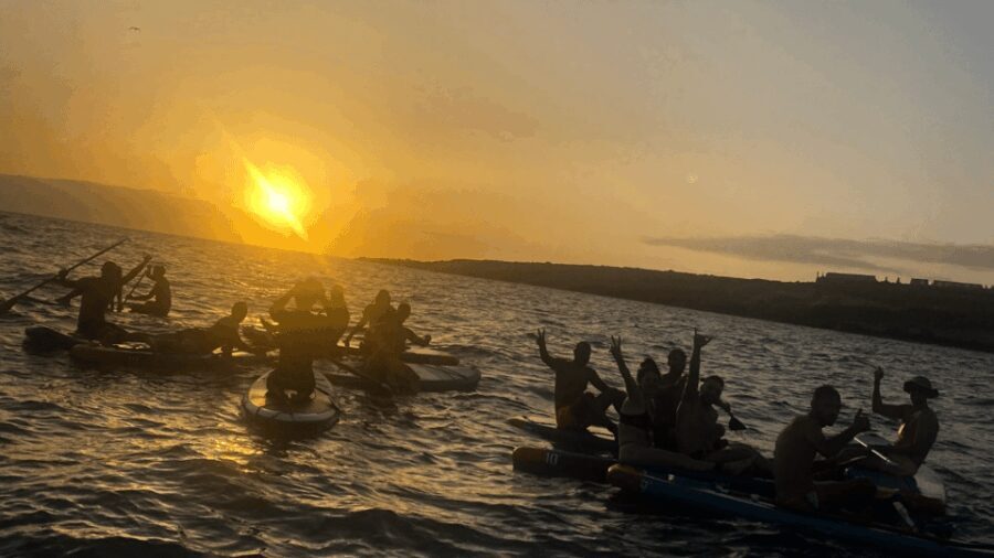 Tenerife: Sunset Stand-Up Paddleboarding Tour - Why This Tour Is a Fantastic Choice