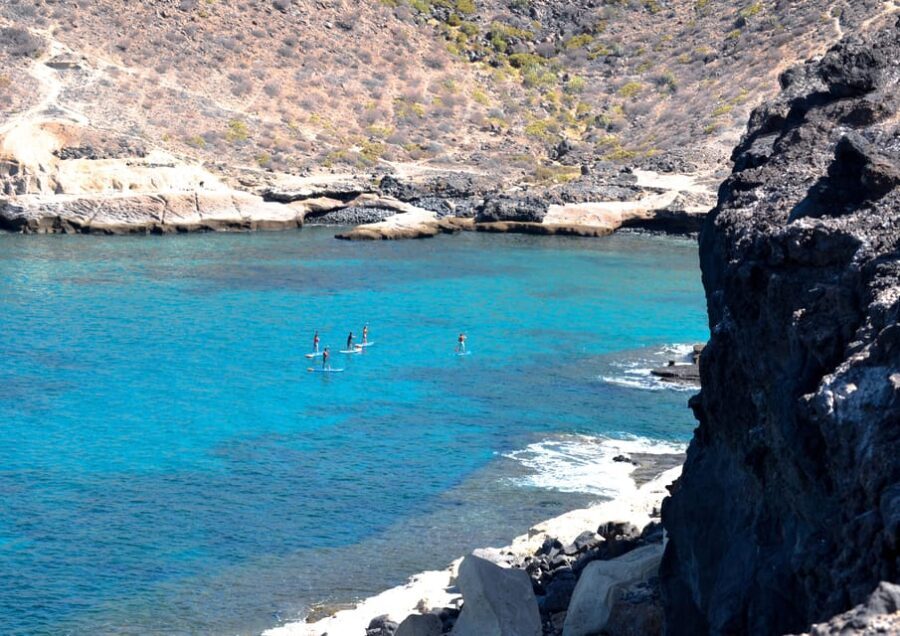 TENERIFE SUR: Paddleboarding tour and SNORKEL - Authenticity and Reviews: What Travelers Are Saying