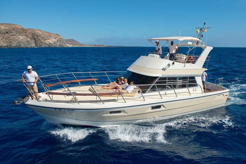 Tenerife: Whale watching tour with swim and lunch on yacht for 22 passengers - What to Expect from Your Tenerife Whale Watching Tour