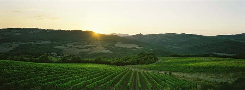 Tenute Silvio Nardi: wine tour of 30 years of Brunello - Exploring the Tour: What You Can Expect