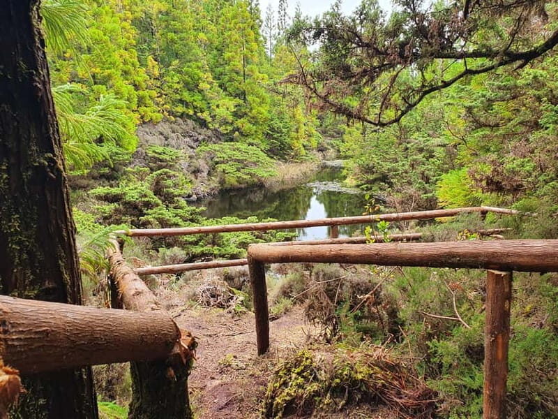 Terceira Island: Mistérios Negros & Mist. Novo Hike w/picnic - Practical Details and Value for Money