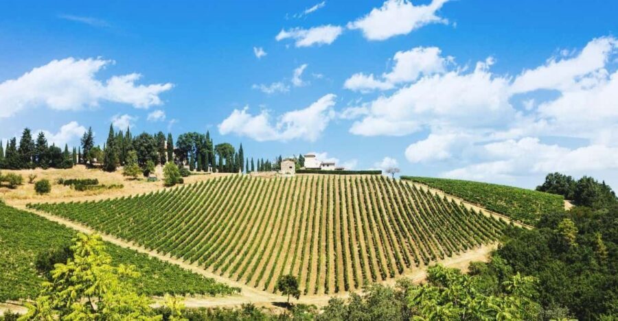 Terricciola Valdera E-Bike Tour + Wine Tasting, Photo Shoot - What Makes This Tour Stand Out