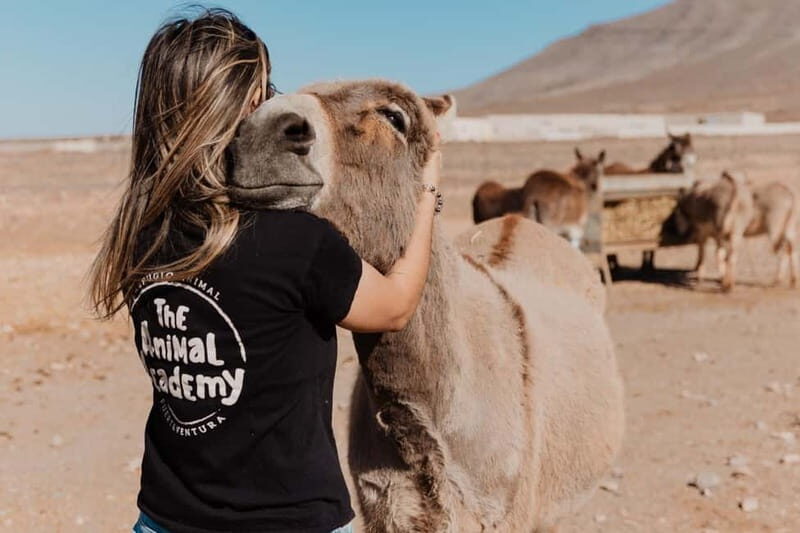The Animal Academy - Shelter Tour - What Makes This Tour Truly Valuable?