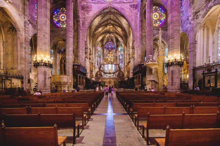 The Best of Palma: Boat trip, Walking tour and Cathedral - The Experience in Detail