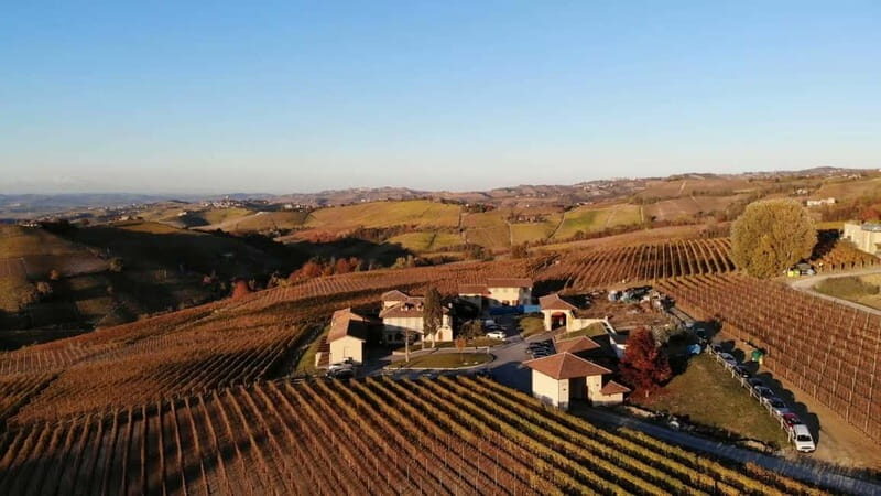 The Best of the Langhe: Wine Tasting & Traditional Meal - What Reviewers Say