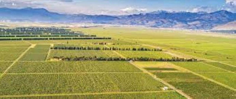 The largest winery in Montenegro: private tour & transport - The Itinerary Breakdown