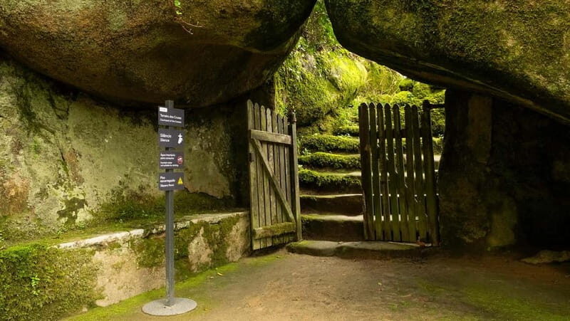 The Other Side of Sintra - Forgotten Woods Tour - In-Depth Itinerary Breakdown