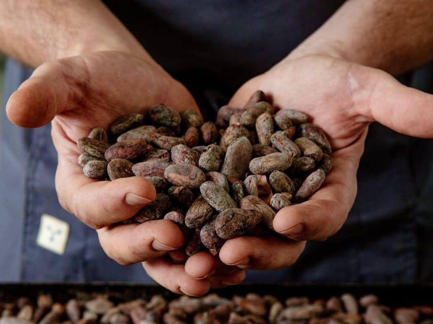 The Turin Chocolate Factory Guided Tour & Tasting - Why This Tour Offers Good Value