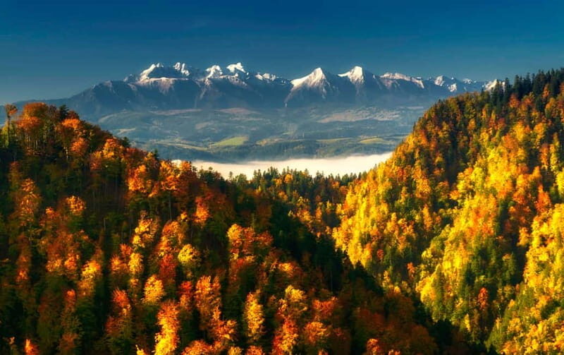Thermal Baths and Zakopane Day Trip with Cable Car - Transportation and Group Size