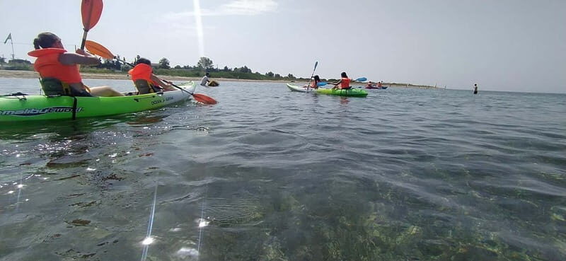 Thessaloniki Beach Activities with optional Transfer - Why This Tour Works for Different Travelers