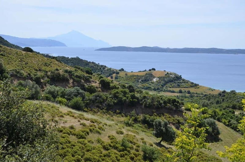 Thessaloniki: Petralona Cave & Nea Potidea Day Trip - Who Will Love This Tour?