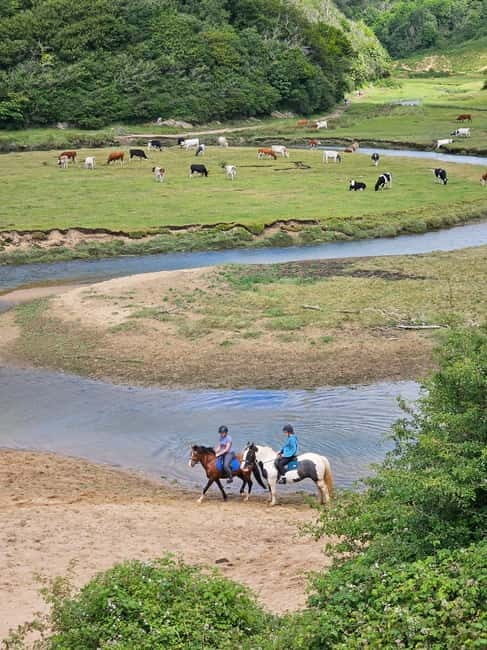 Three cliffs bay circular walk - Gower Peninsula - Who Should Consider This Tour?