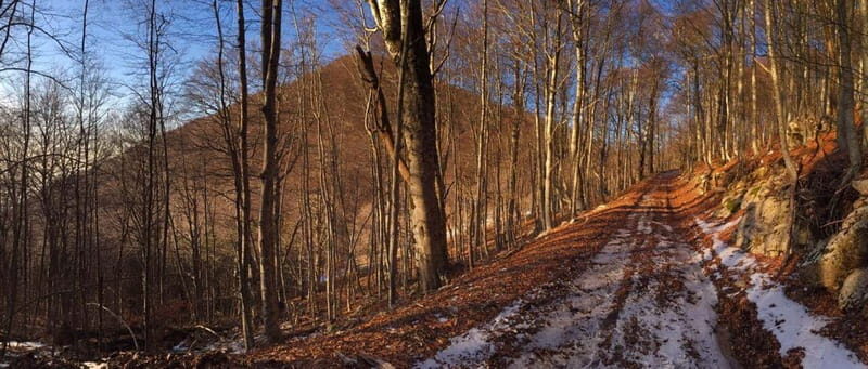 Tirana: Dajti Mountain Half-Day Trip with Cable Car Ticket - What Makes This Tour Value-Driven