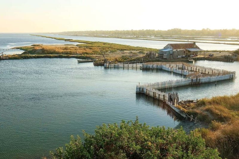 Tirana & Durres :Karavasta Lagoon & Apolonia with Breakfast - The Value of This Tour