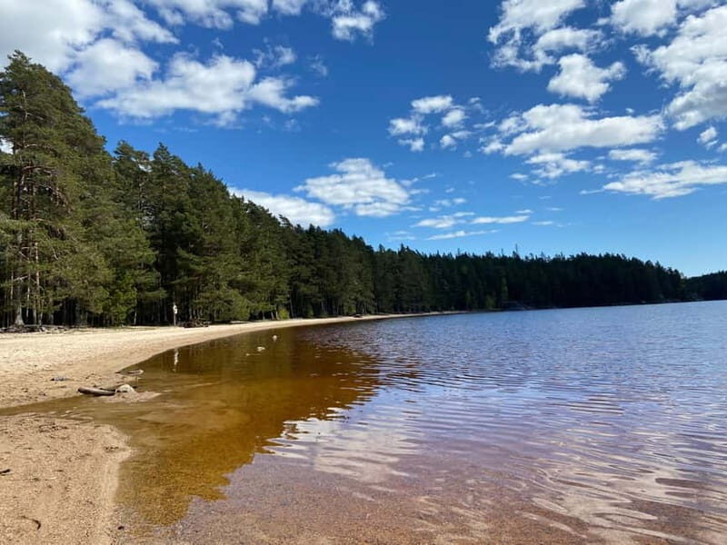 Tiveden National park: Summer guided walk around Stenkälla - The Itinerary in Detail