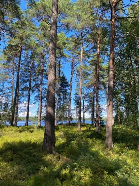 Tiveden: The Legend of Junker Jägare Guided Hike - Why This Experience Works for Different Types of Travelers