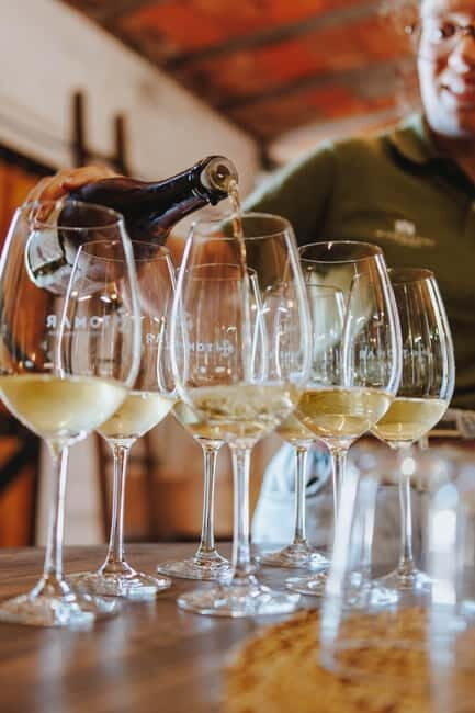 Tomar: Vineyard Tour with Tastings - The Itinerary Breakdown