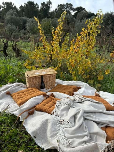 Tomar: Wine Picnic for Two - Who Will Love This Experience?