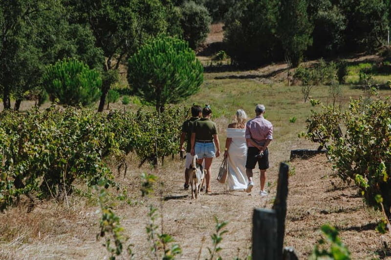 Tomar: Wine Tasting with Vinotherapy - The Itinerary in Detail