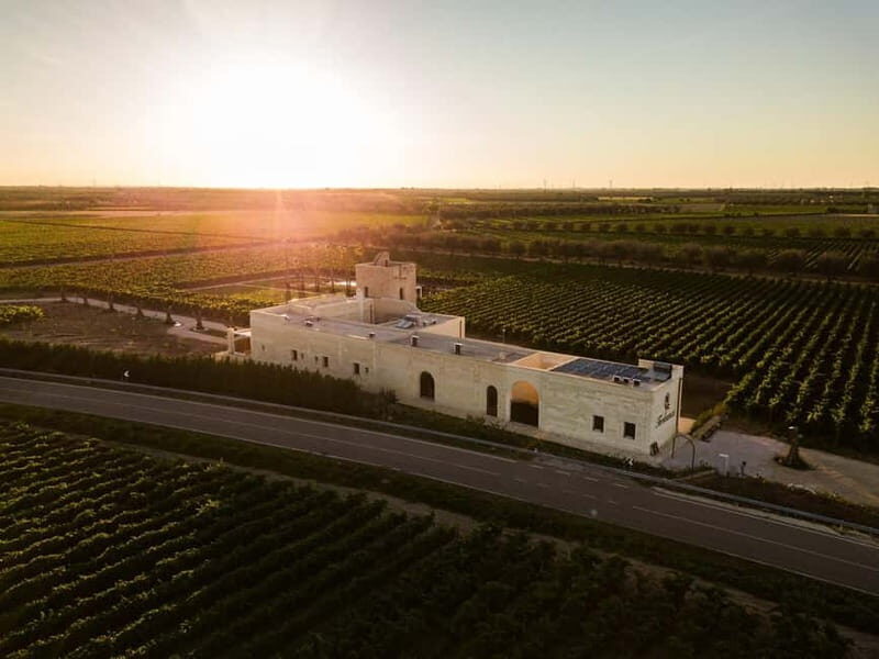 TORLEANZI: wine tour and tasting at winery in Torre San Gennaro - The Experience: A Step-by-Step Journey