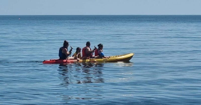Torquay: Kayak Rental with Sit-on-Top and Sit-in Kayaks - What to Expect on Your Rental