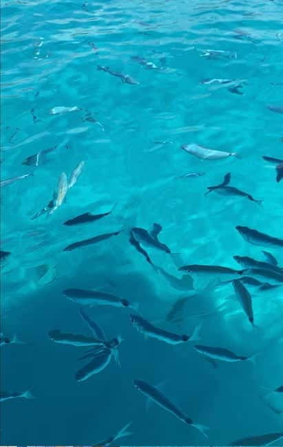 Tour "Coast of the Gods" by Boat - The Value of the "Coast of the Gods" Boat Tour