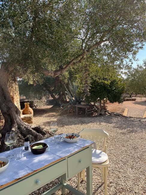 Tour of Apulian farms and local producers - Who Is This Tour Best For?