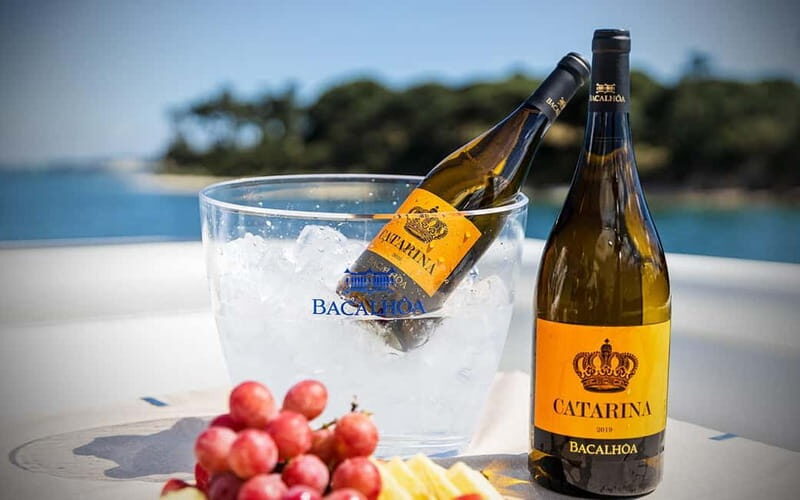 Tour Private Wine Tasting - An In-Depth Look at the Experience