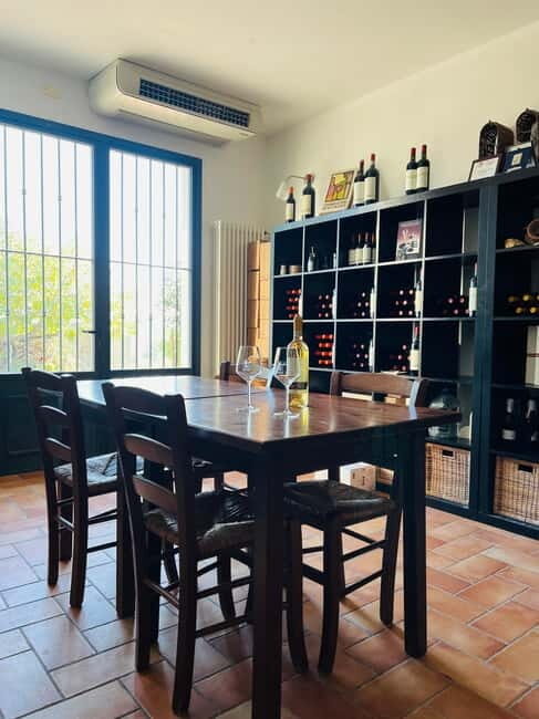 Tour & tasting at Tenuta la Viola - Practical Details and Tips