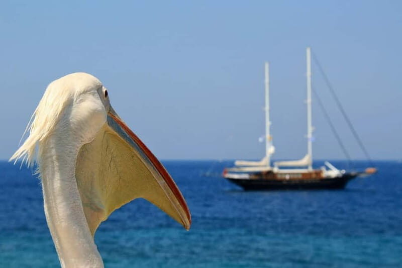 Travel from Athens to Mykonos one day - What Travelers Can Expect