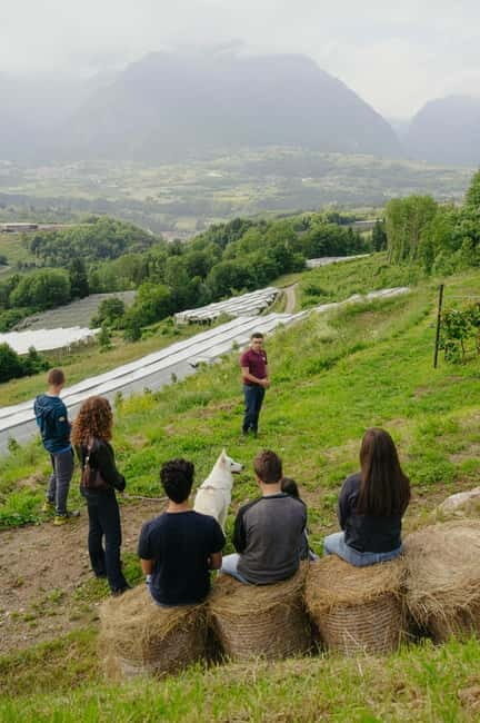 Trentino Agriconda: frutTIAMO...Explore, Learn, Taste Small Fruits - Who Will Love This Tour?