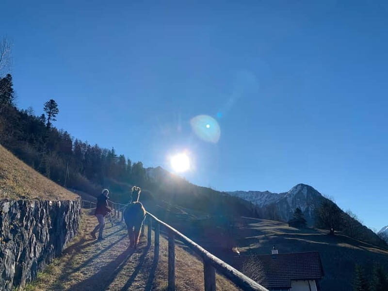 Triesenberg: Llama hike with a delicious BBQ in the middle of the forest - Why This Tour Offers Great Value