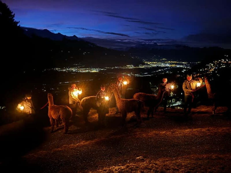 Triesenberg: Walking Tour with Llamas and Cheese Raclette - The Detailed Itinerary and What to Expect