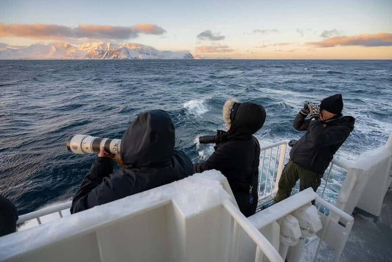 Tromsø: 24hr Northern Lights & Whale Watching Cruise - Why This Tour Offers Great Value