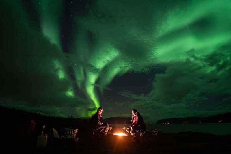 Tromsø: Adult Only Aurora hunt with Citizen Science - Pricing and Value Assessment  