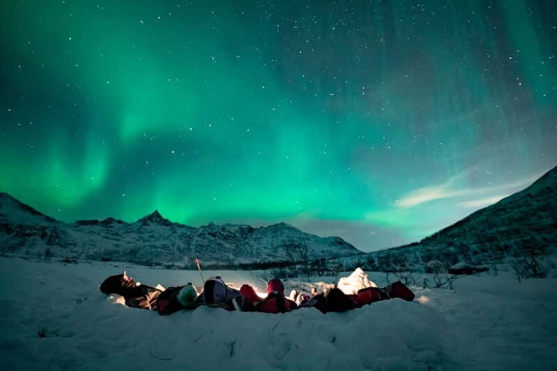Tromsø: Aurora Hunt with Citizen Science - In-Depth Look at the Itinerary